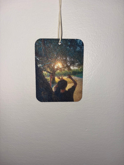 Custom Car Air Fresheners